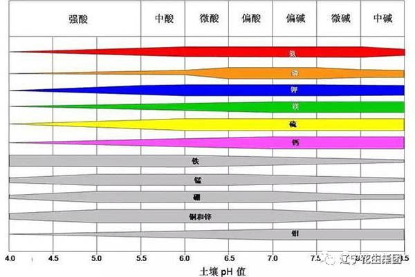 農(nóng)業(yè)小知識-土壤病了！用再多肥料也白瞎！